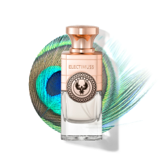 Aurora 100 ml